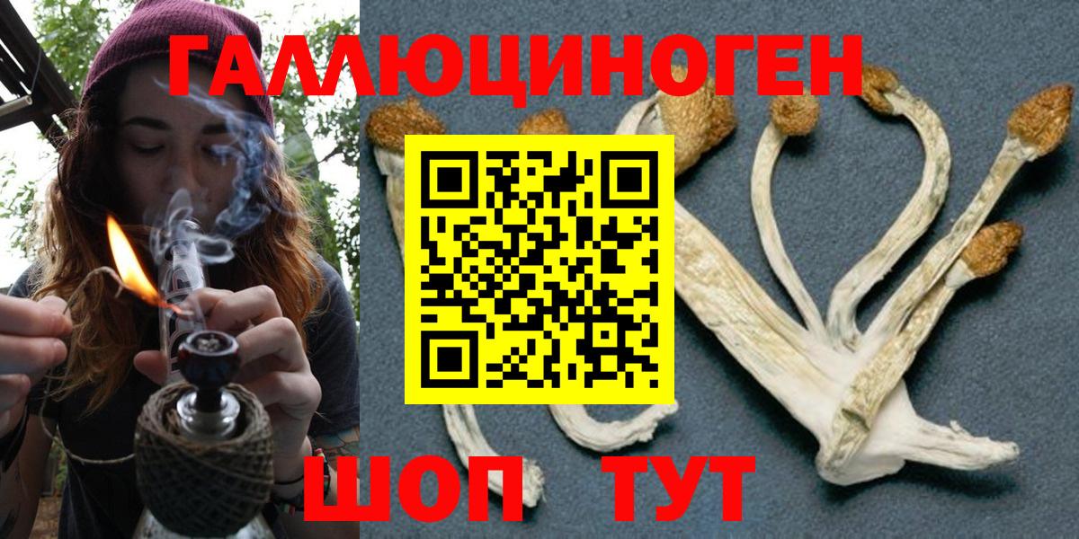 Галлюциногенные грибы MAGIC MUSHROOMS Гусиноозёрск