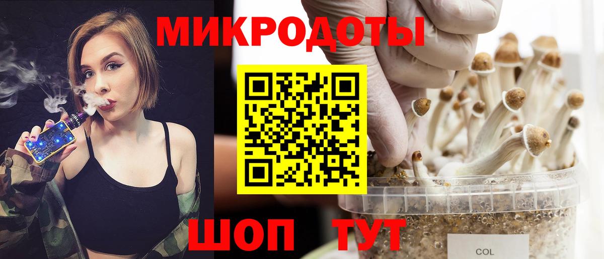 Псилоцибиновые грибы Cubensis  Вход с VPN  Гусиноозёрск 